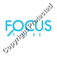 focus 1 copy