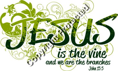 Jesus Is The Vine And We Are The Branches